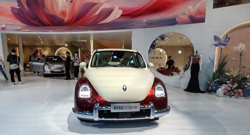 長城汽車大動作 趙永坡接管歐拉，能否再創銷量神話？